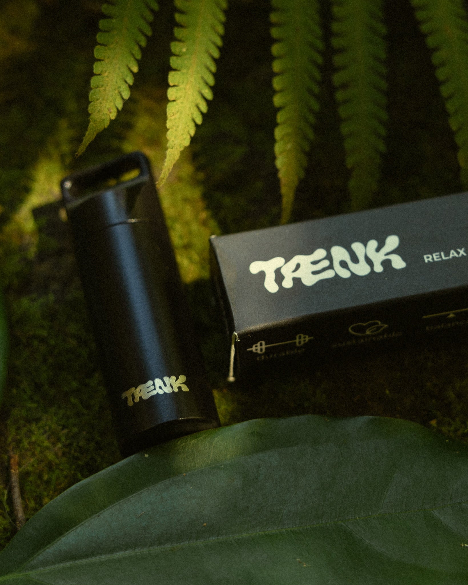 TÆNK – Stylish & discreet stainless steel container | Drbabahaze – Dr ...